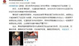 河南嵩县爆料事件视频,真相与争议交织